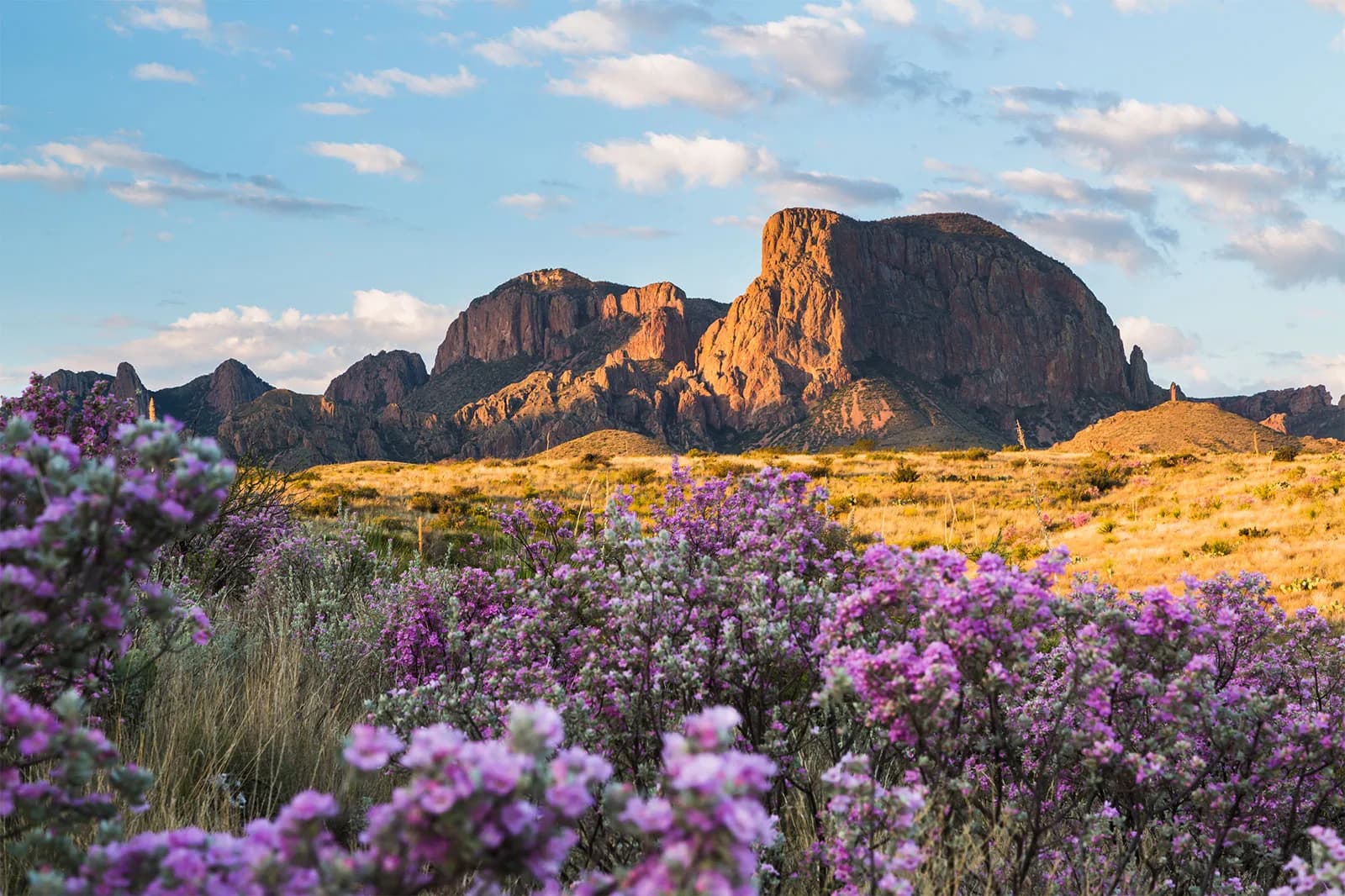 El Paso desert landscape