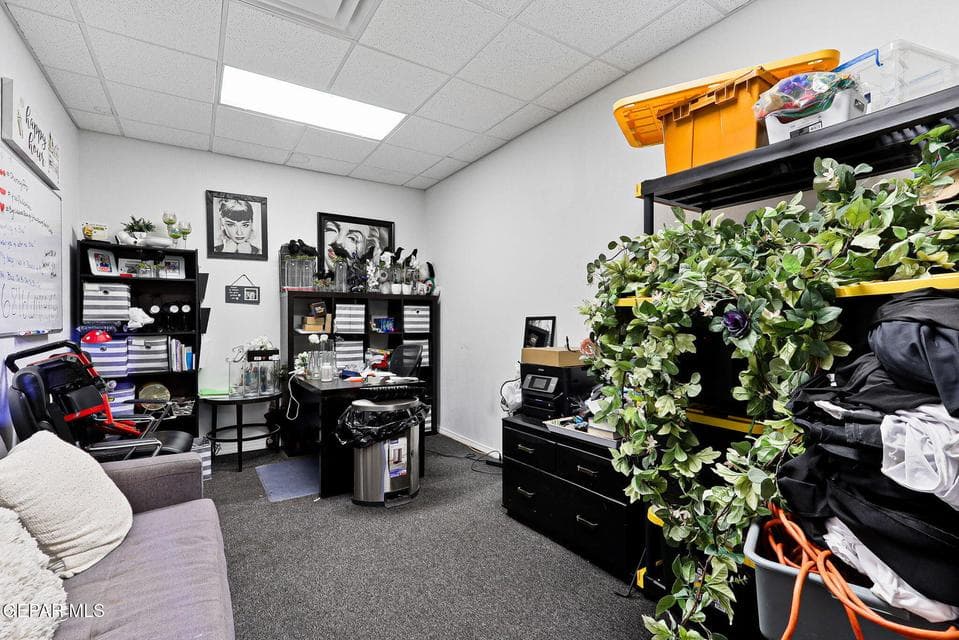 18-web-or-mls-IMG_2510