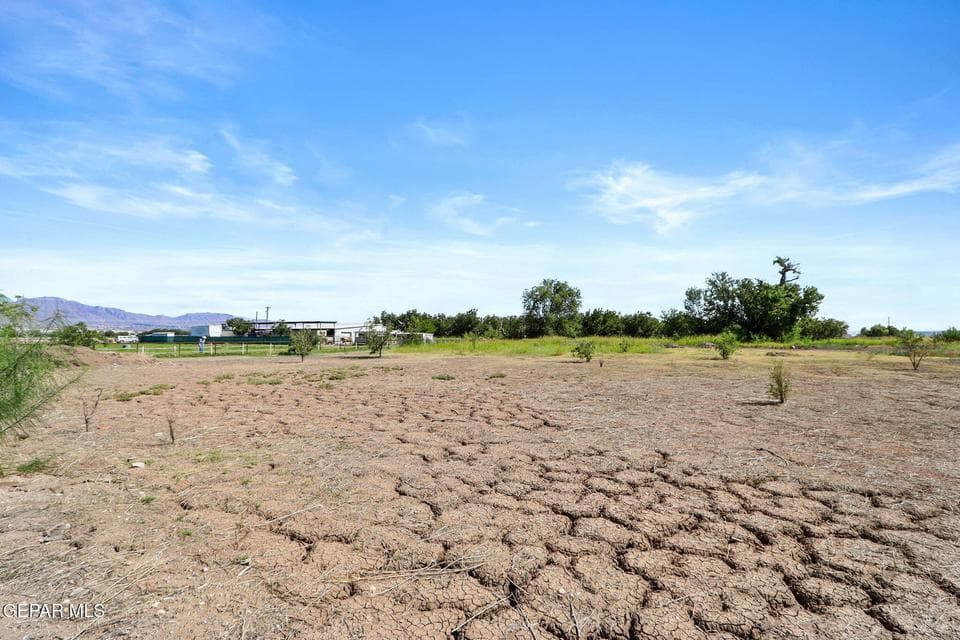 84-web-or-mls-IMG_3707