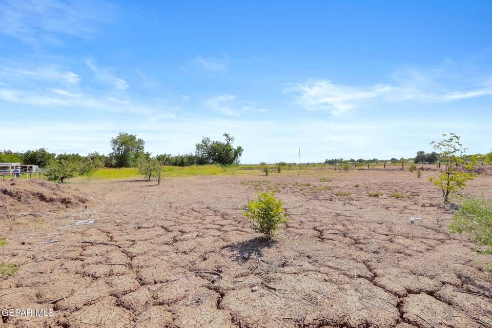 85-web-or-mls-IMG_3715