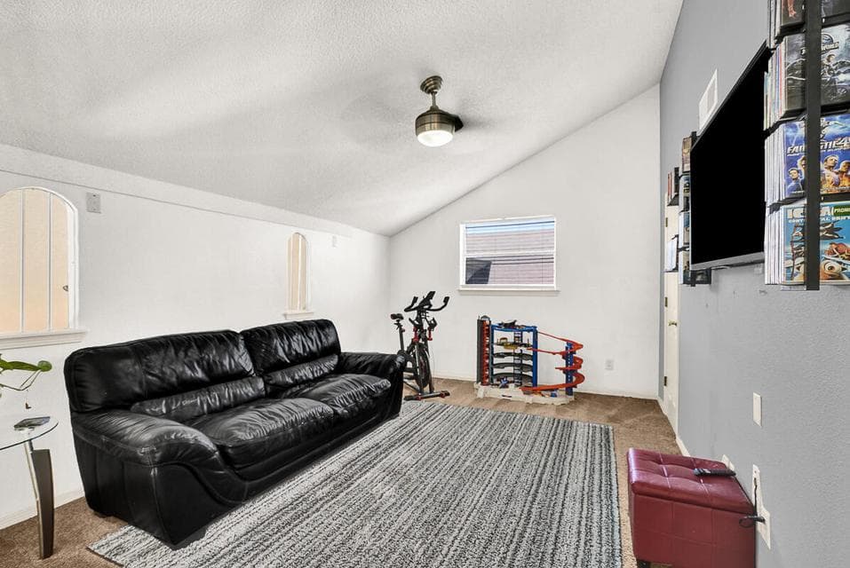 12316 Tierra Limpia -25