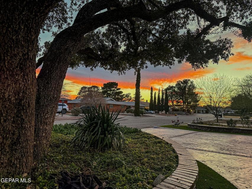 Gorgeous sunsets and fabulous shade on long circular drive