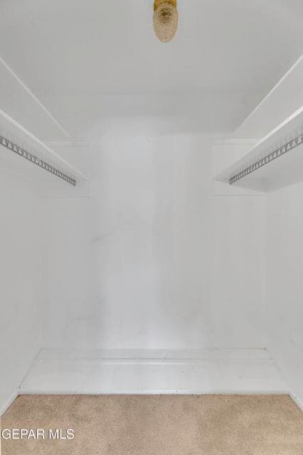 3 (46)