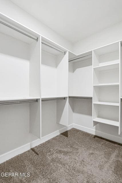 37-web-or-mls-IMG_5332