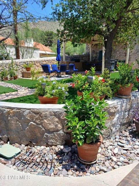 Resized_20250802_130159