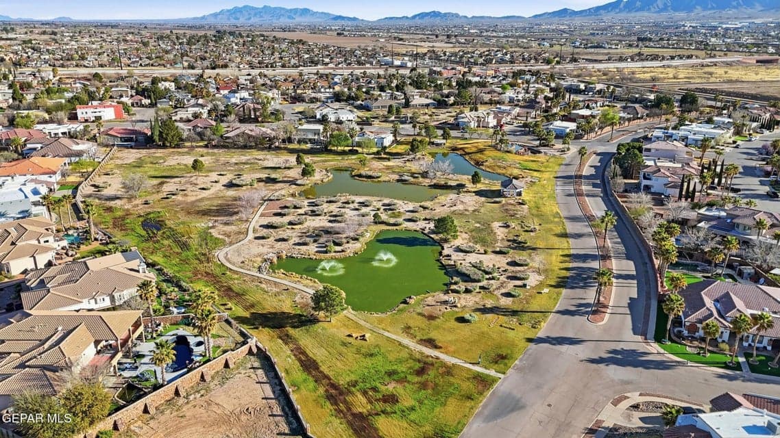 56_dji_20260308091721_0444_d