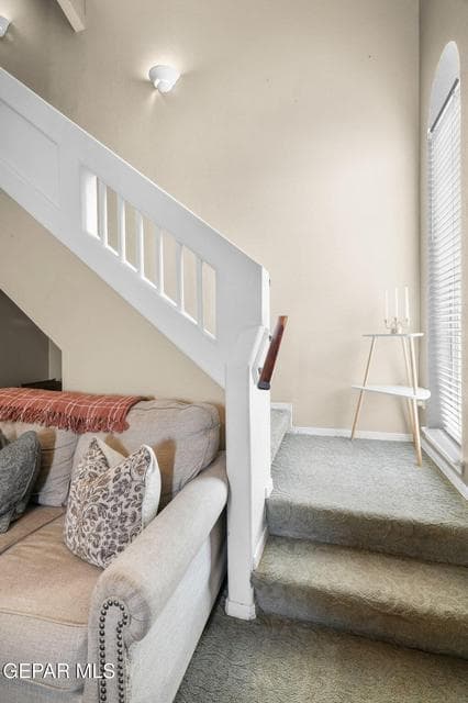 12361 Tierra Inca-17