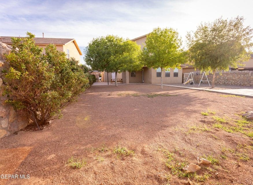 backyard trees and roses (2)