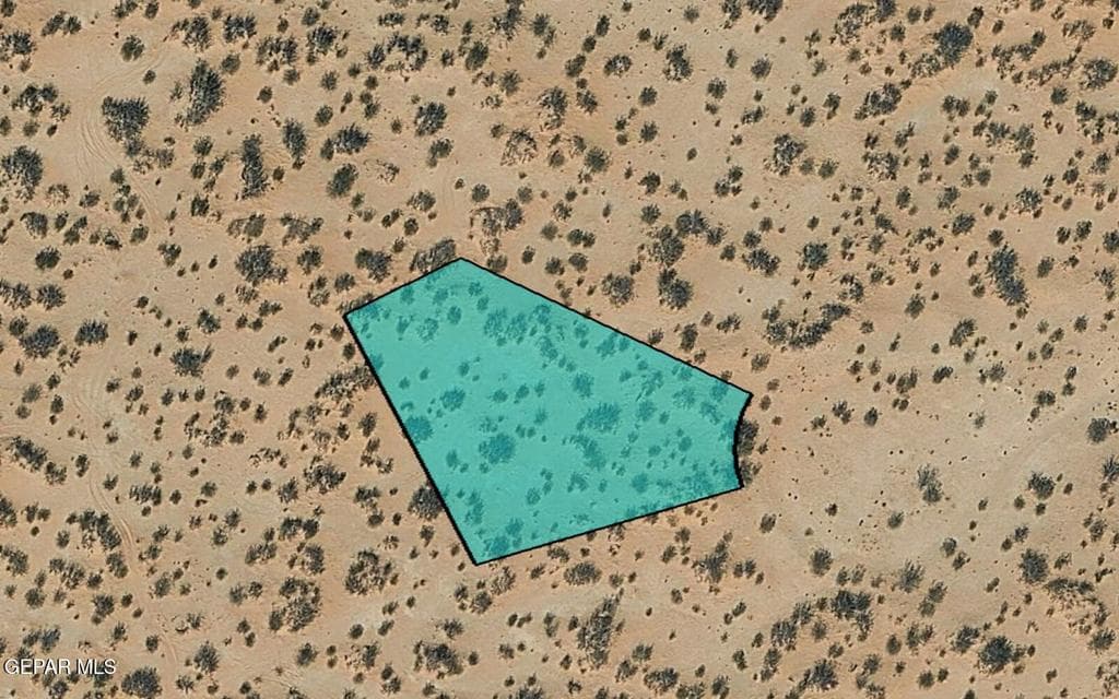 Screenshot 2026-05-25 104359