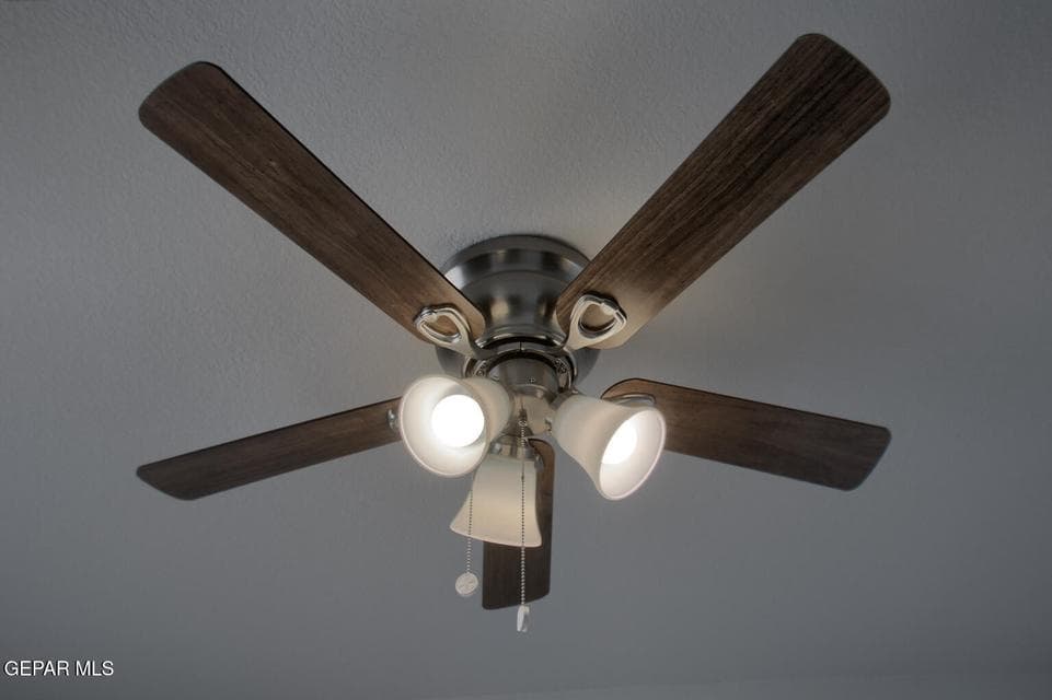 274-Liberty-Fan-2