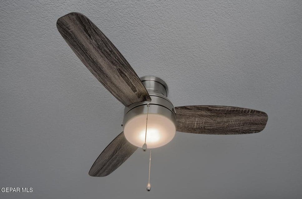 274-Liberty-Fan-1