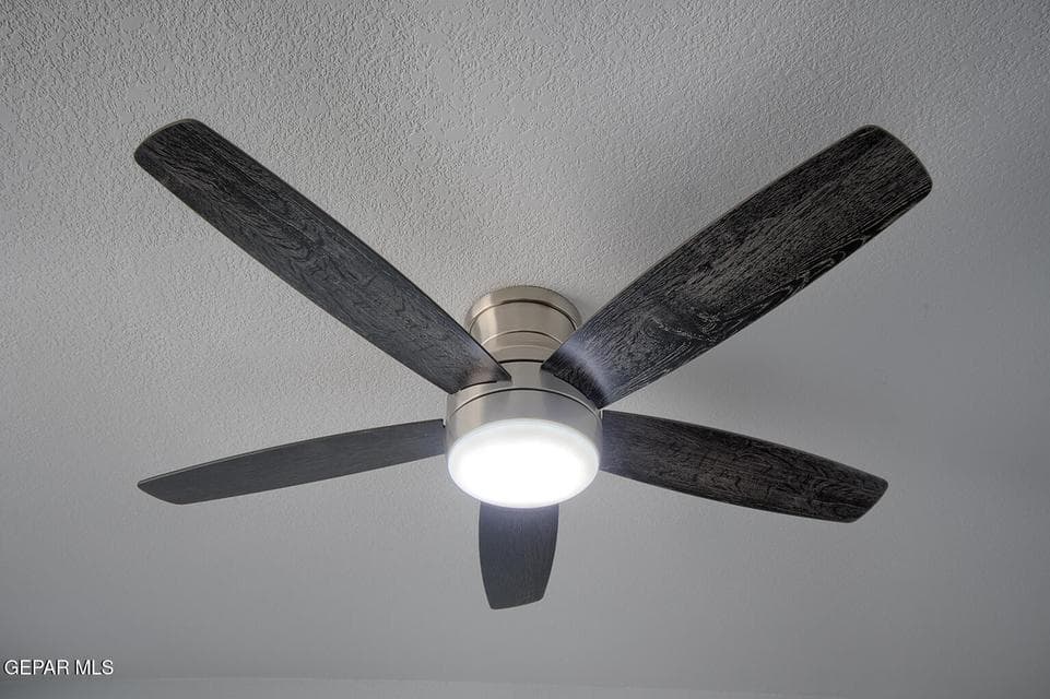 274-Liberty-Fan-3
