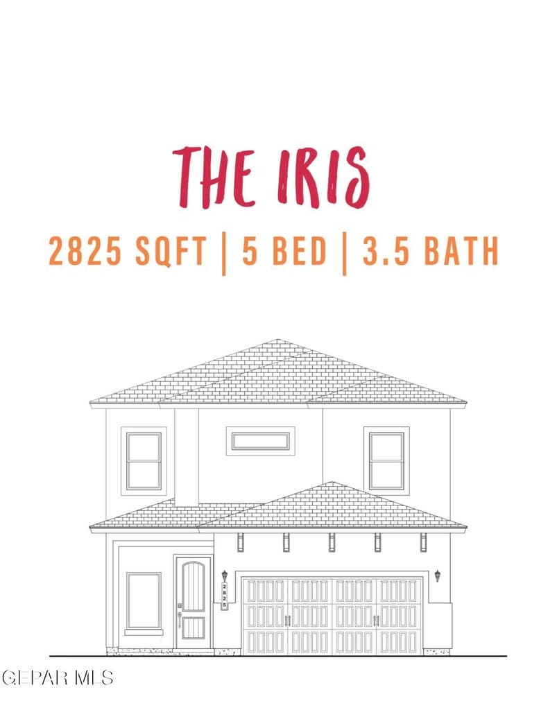 The Iris