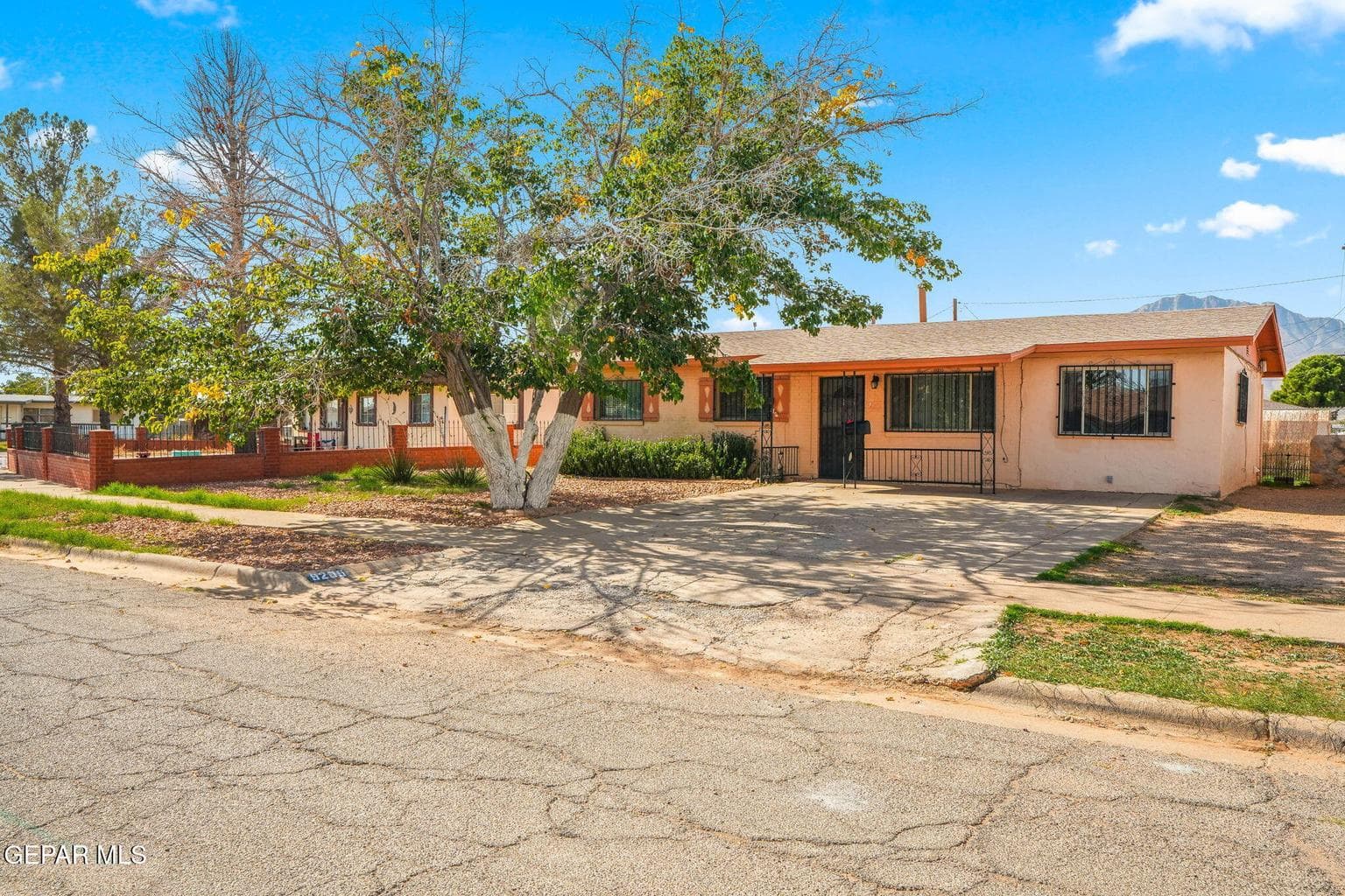 9205 Mount Shasta-2