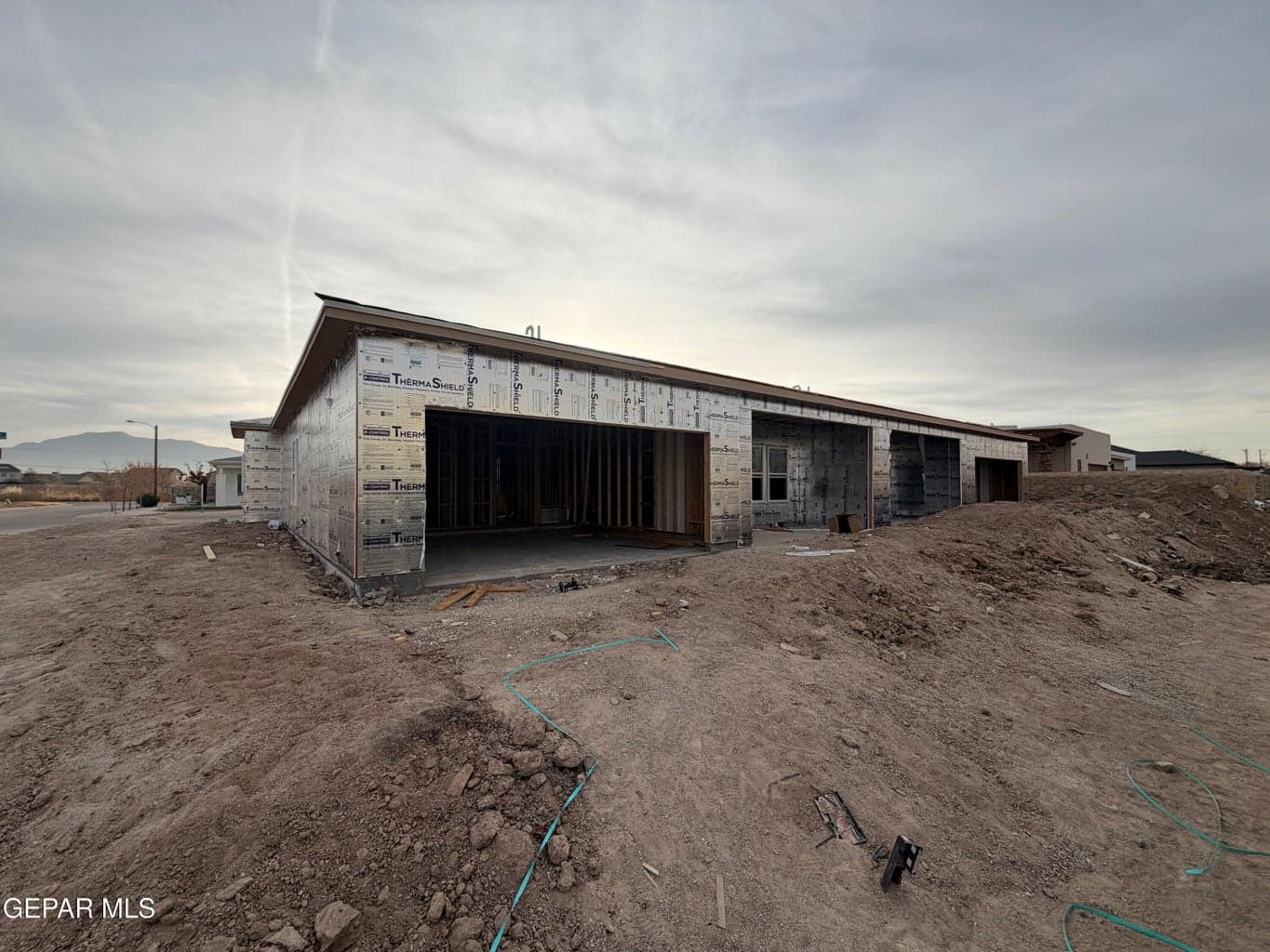 IMG_5245-duplex d