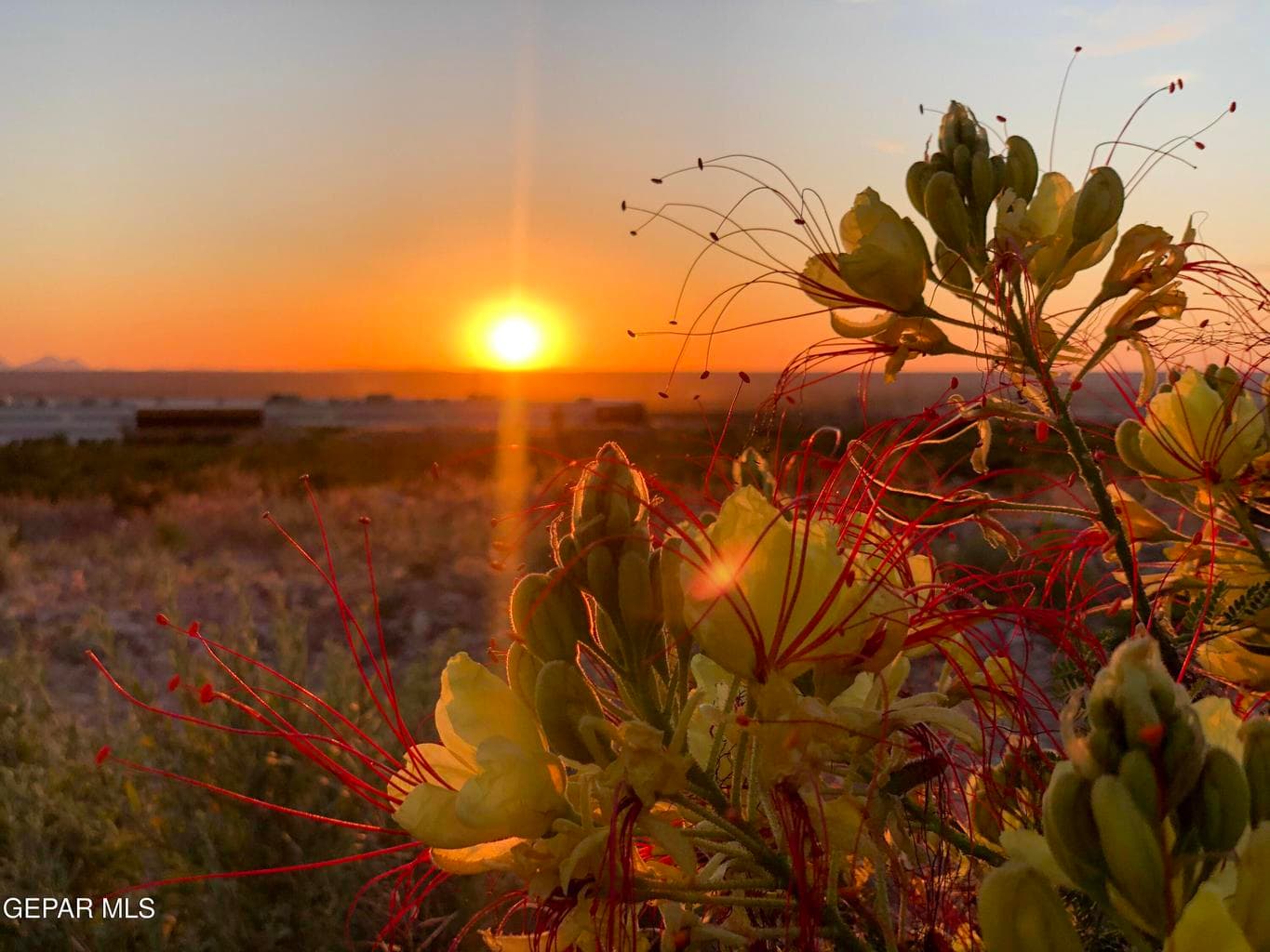 Enjoy beautiful sunsets and walking trails close by.