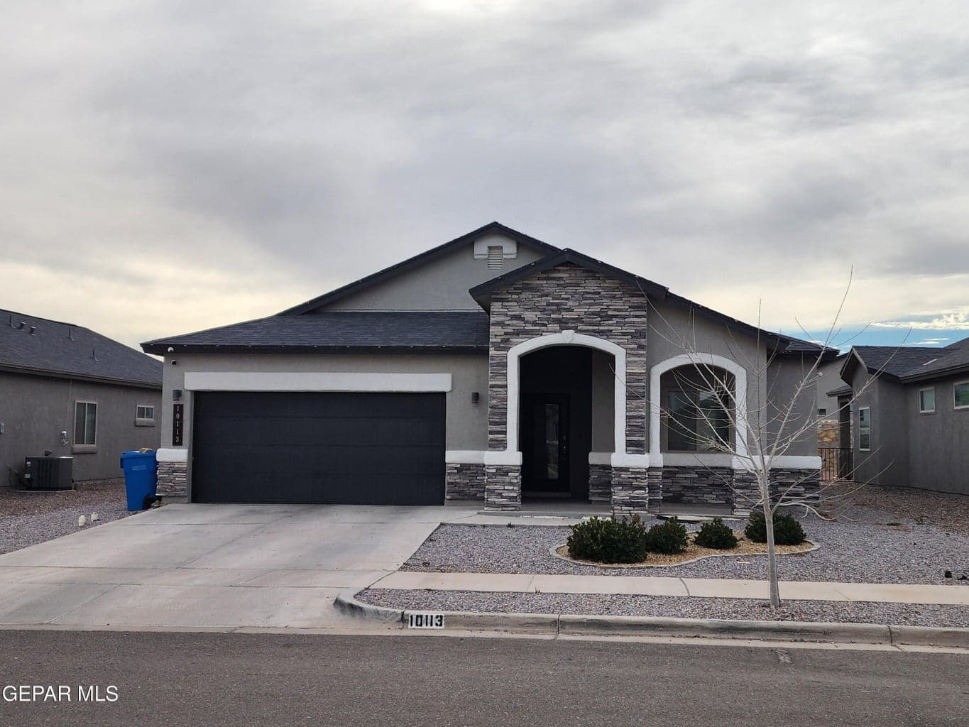 10113 Christmas Cactus Place