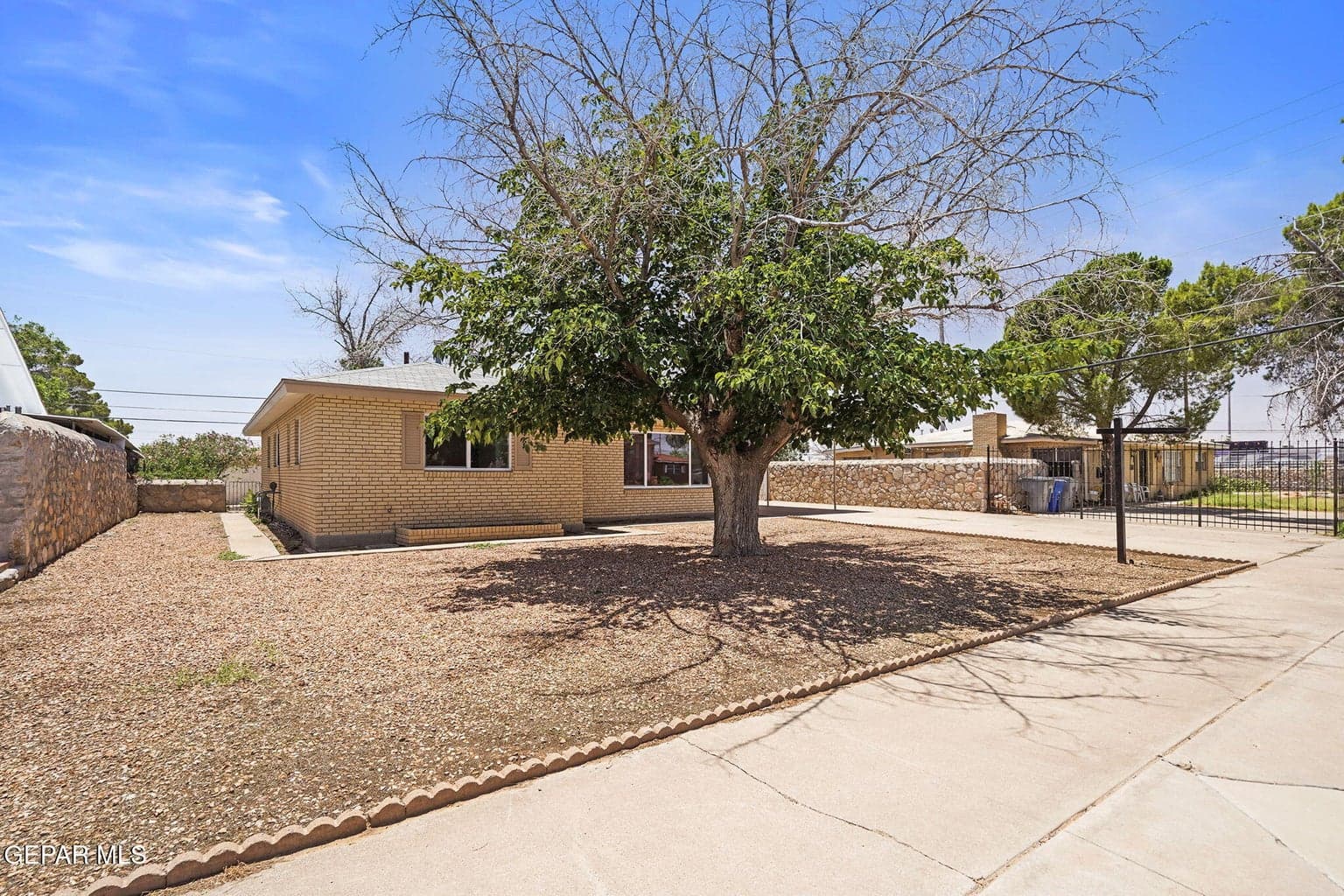 11-web-or-mls-DSC03703