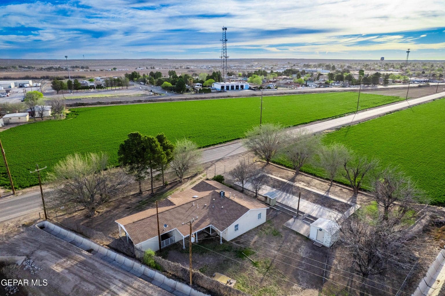 DJI_0217