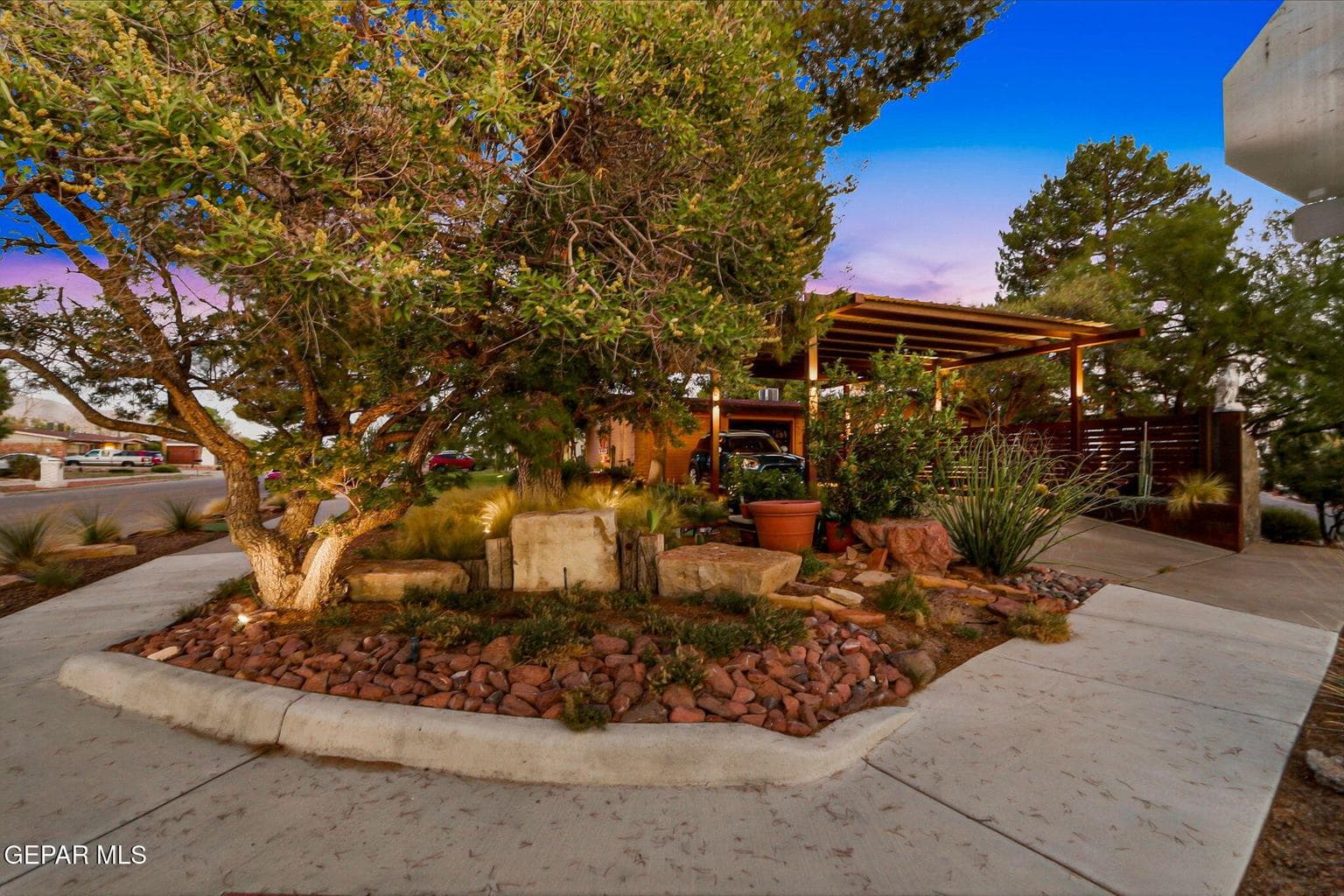 The side yard by the carport