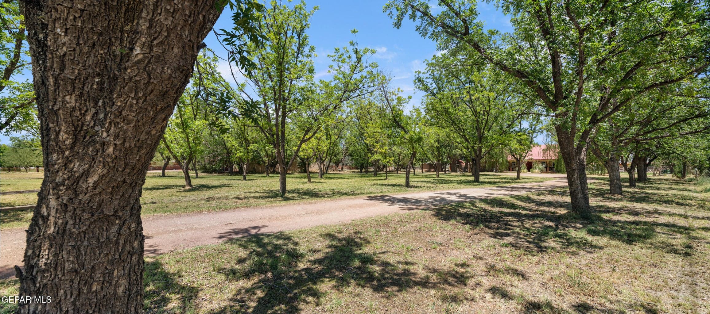 6756-Gato-Rd-MLS-Camera-Guy-3