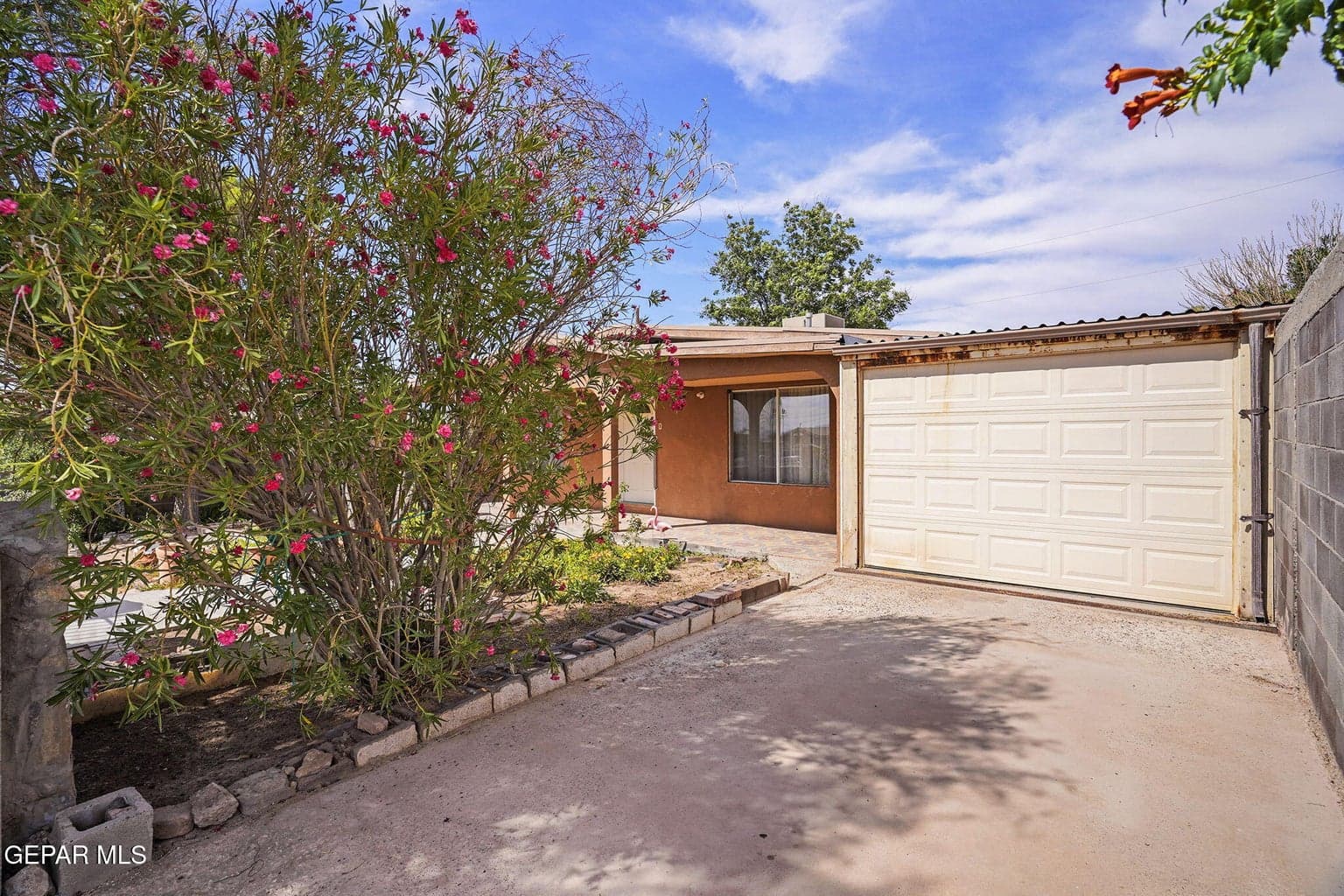 41-web-or-mls-DSC07507