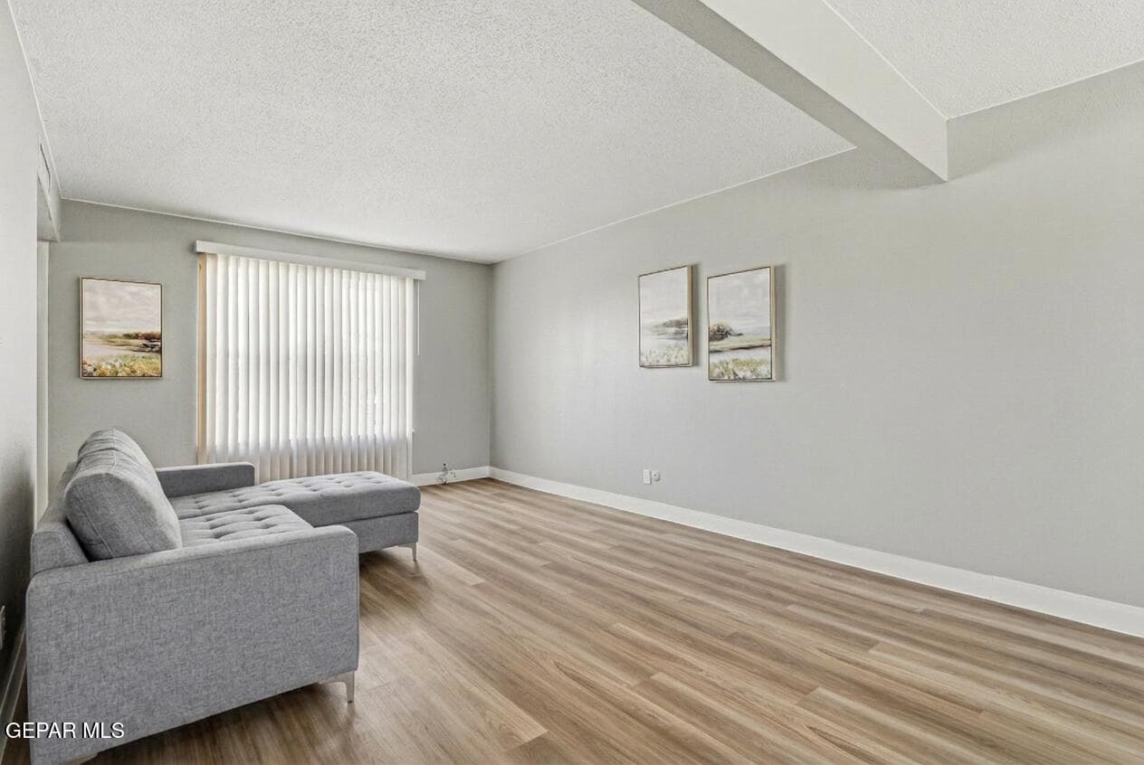 Living Room 1