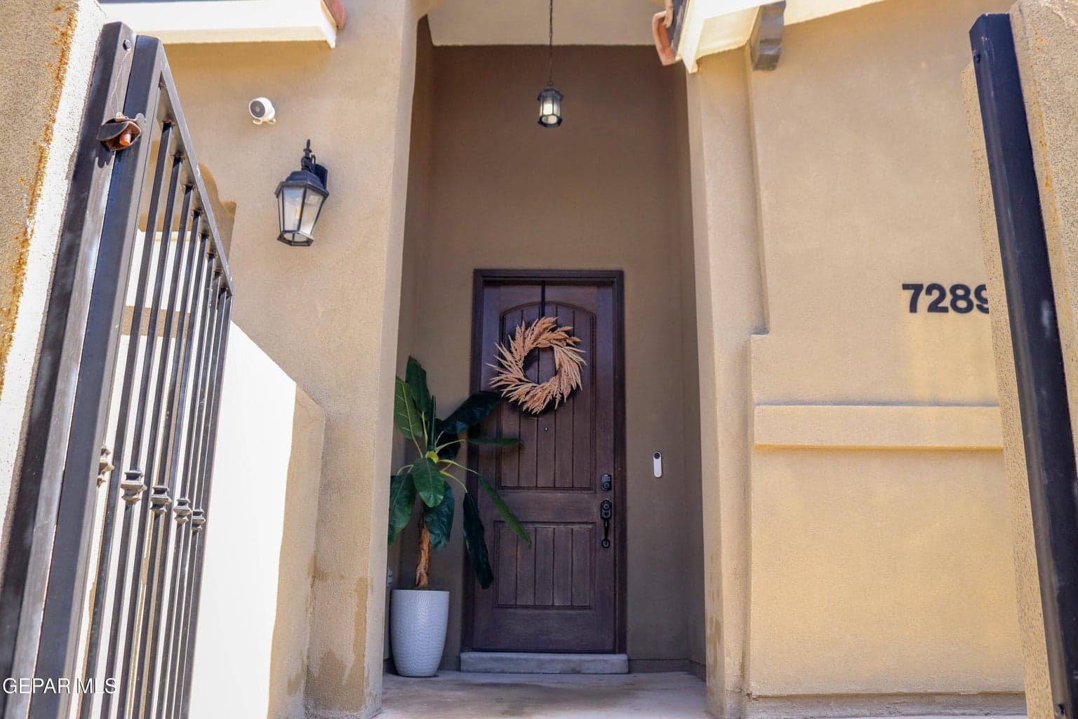 7289 Meadow Sage Dr20260729_05