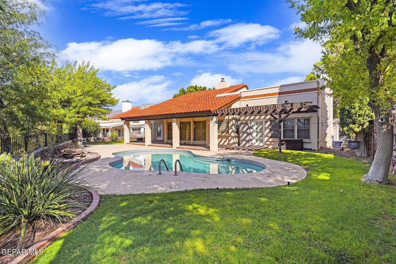 45-web-or-mls-DSC08667