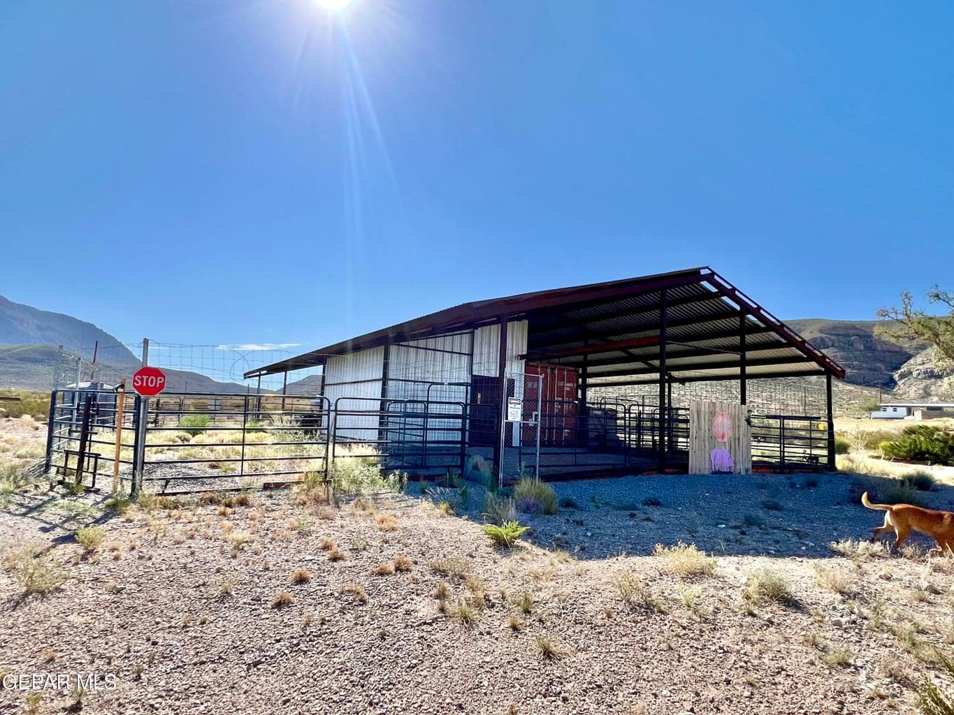 All metal hay storage room and 40' container.