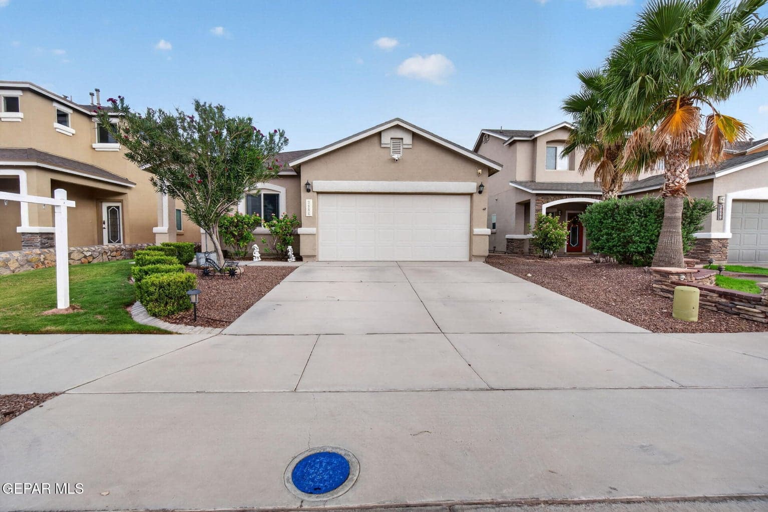 2-web-or-mls-DSC07030
