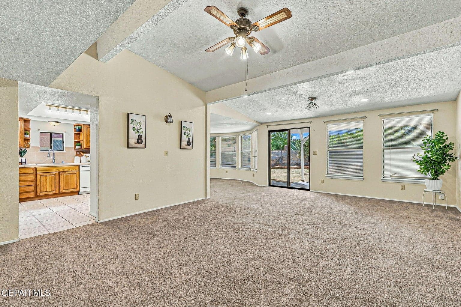 Ample Living room with plenty of natural light