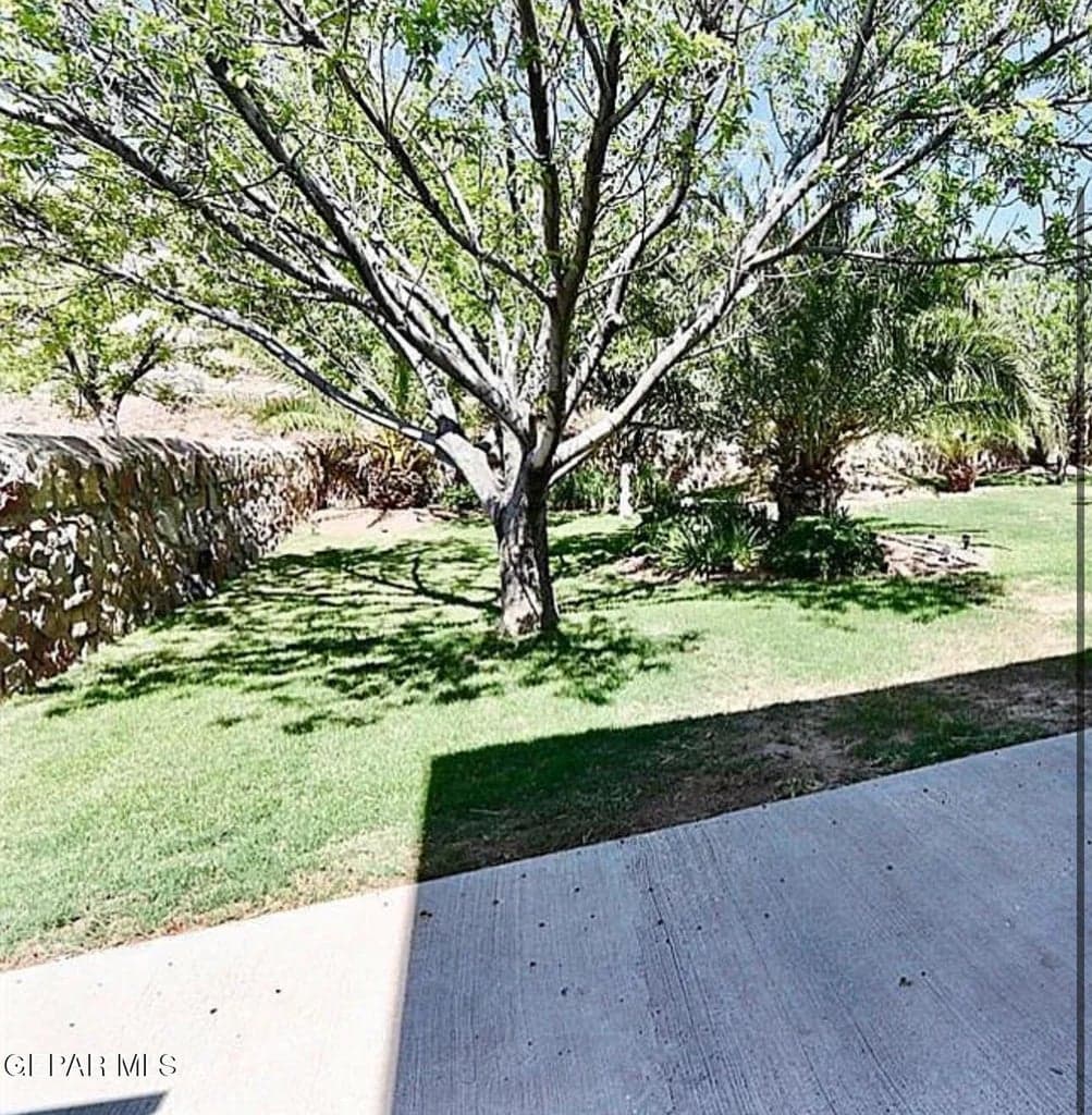BEFORE BACK YARD