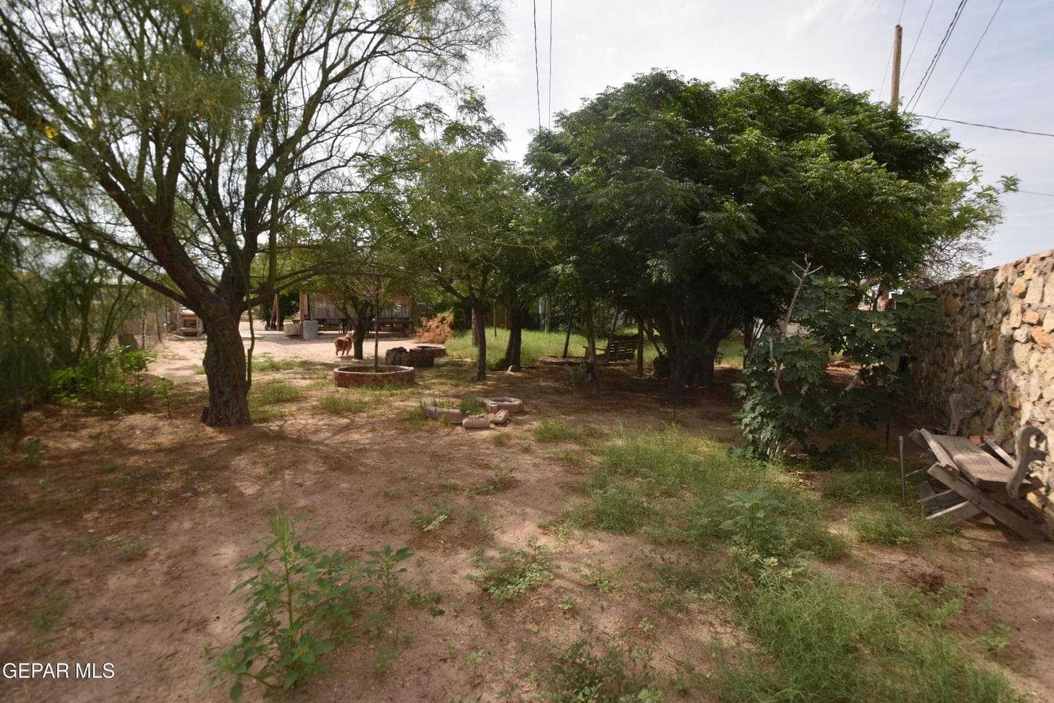 Nice big back yard
