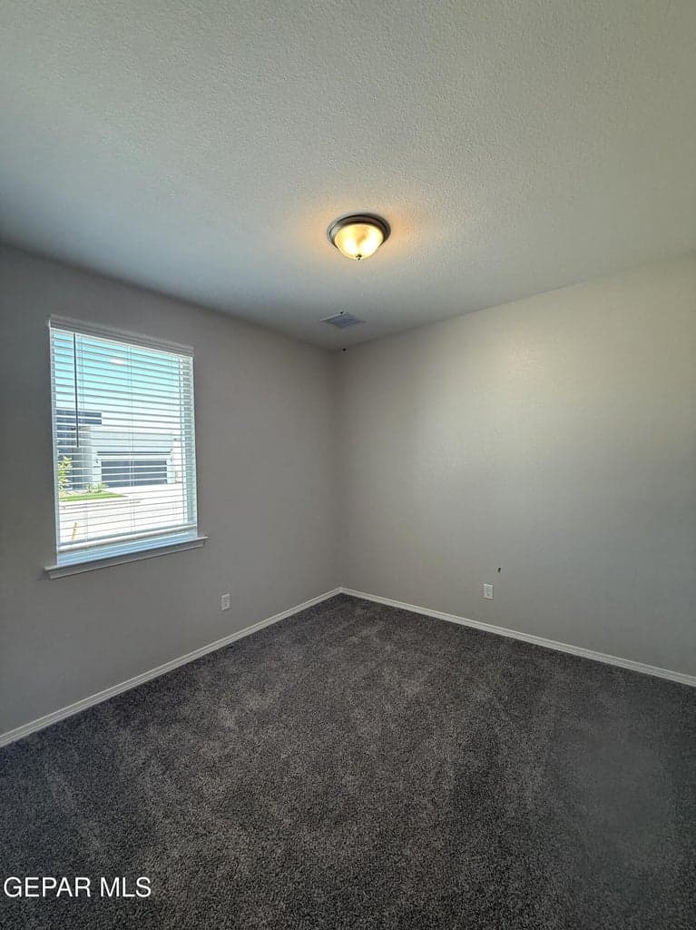actual photo--flex room