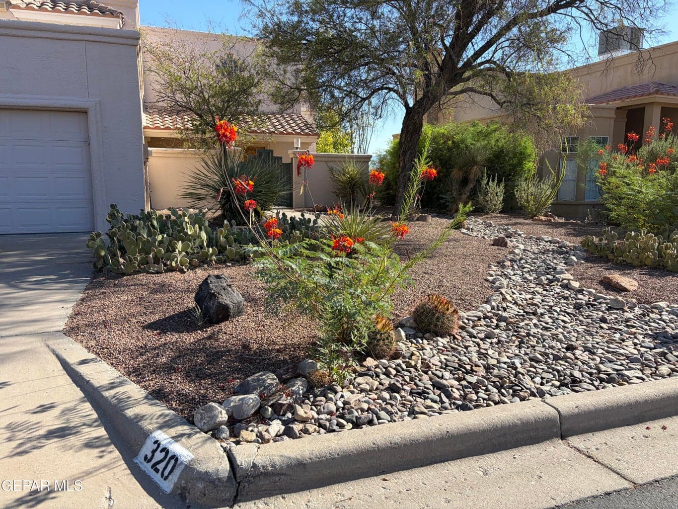 Low maintenance desert