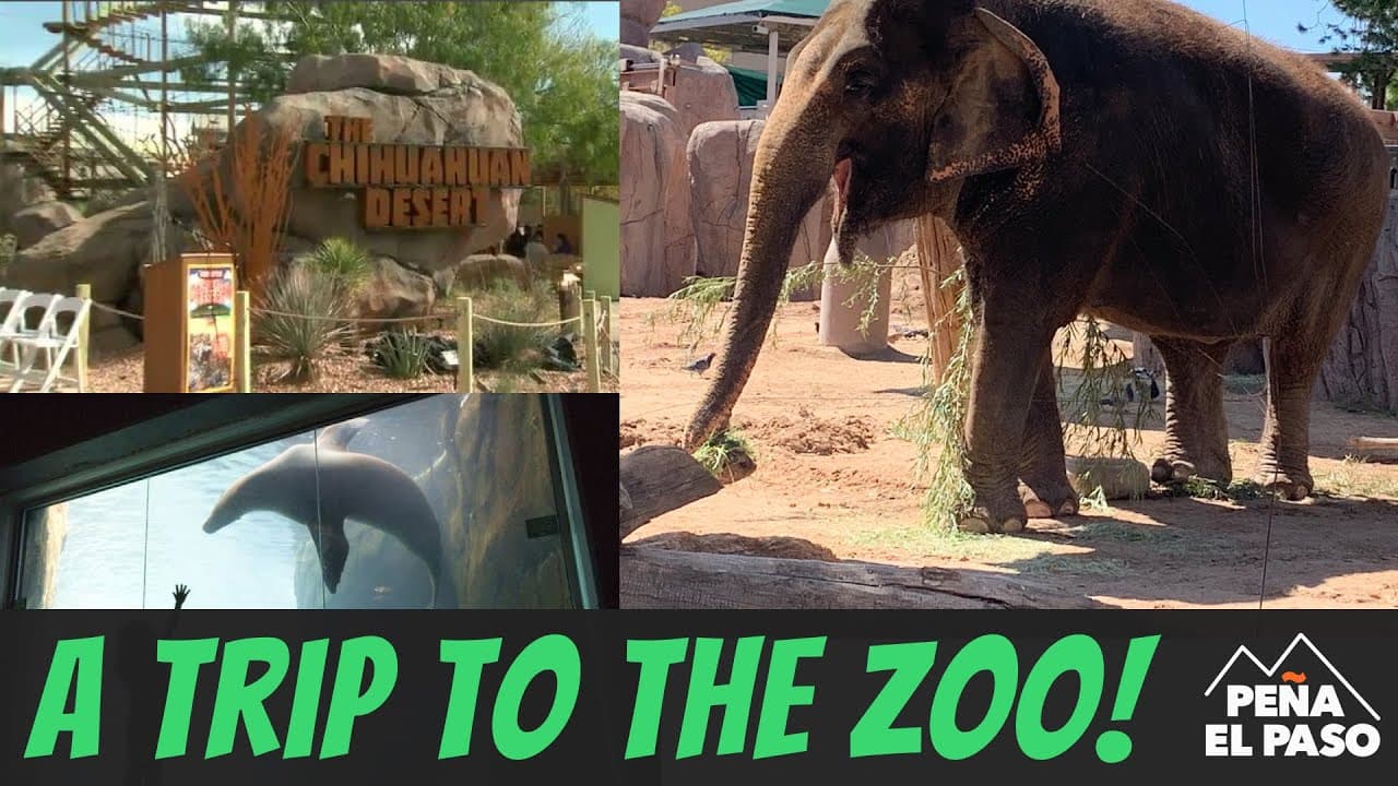 El Paso Texas Zoo