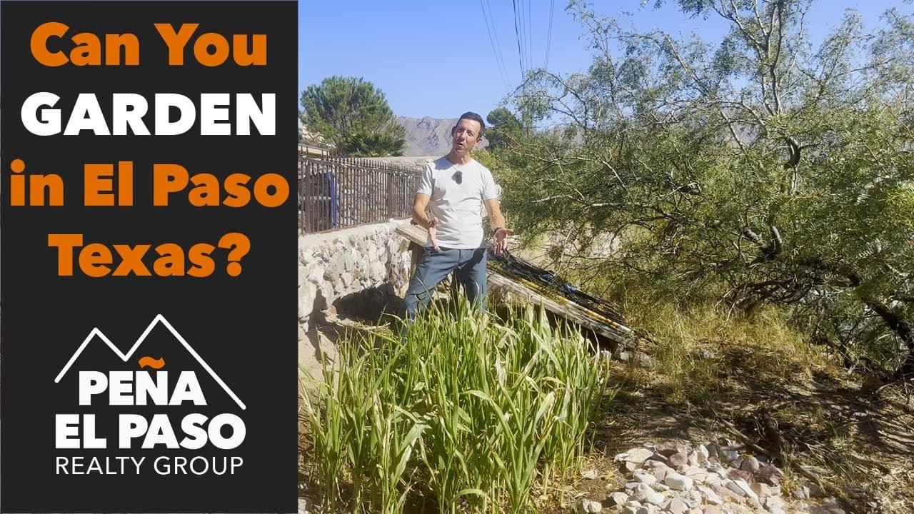 Landscaping and Gardening in El Paso Texas | Is It Even POSSIBLE?