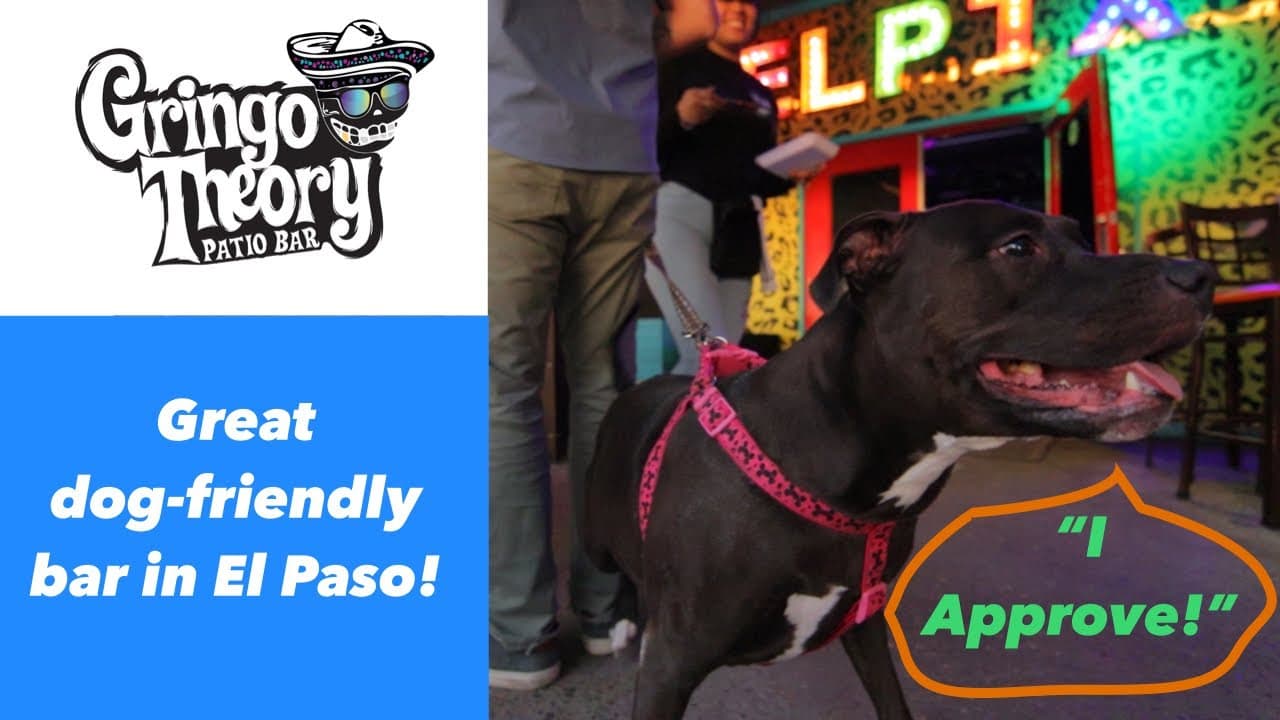 Gringo Theory Showcase | Dog-Friendly Bar in El Paso Texas