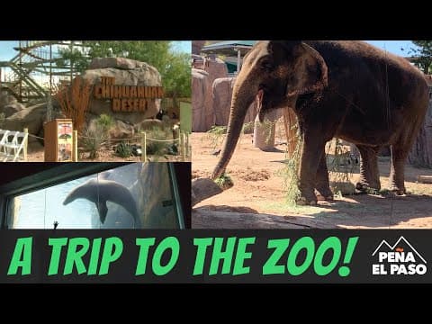 El Paso Texas Zoo