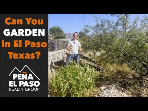 Landscaping and Gardening in El Paso Texas | Is It Even POSSIBLE?