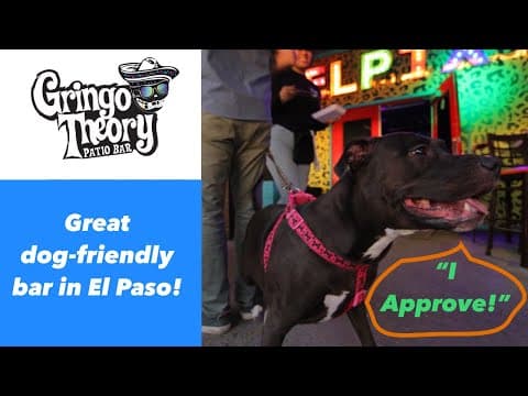Gringo Theory Showcase | Dog-Friendly Bar in El Paso Texas