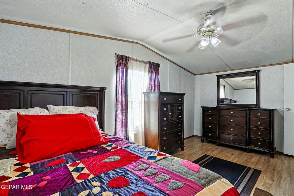 3-web-or-mls-IMG_7066