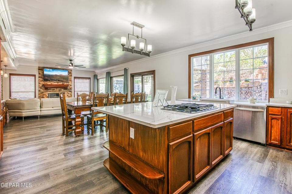 Open concept Kitchen/Breakfastl/Family room