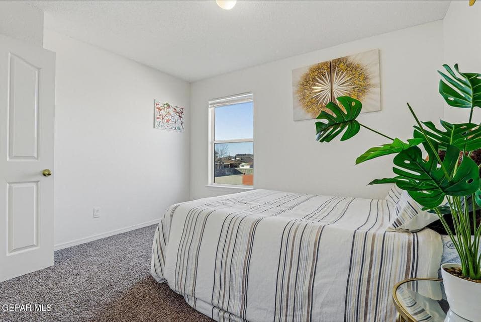 WhatsApp Image 2026-01-19 at 1.53.23 PM