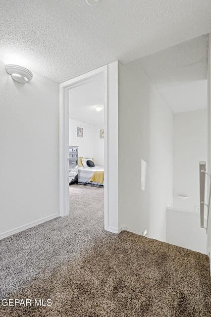 WhatsApp Image 2026-01-19 at 1.53.23 PM