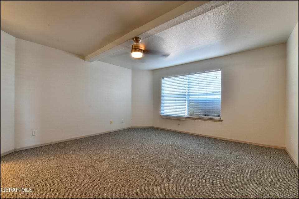 Tierra Tania 3832 (19)