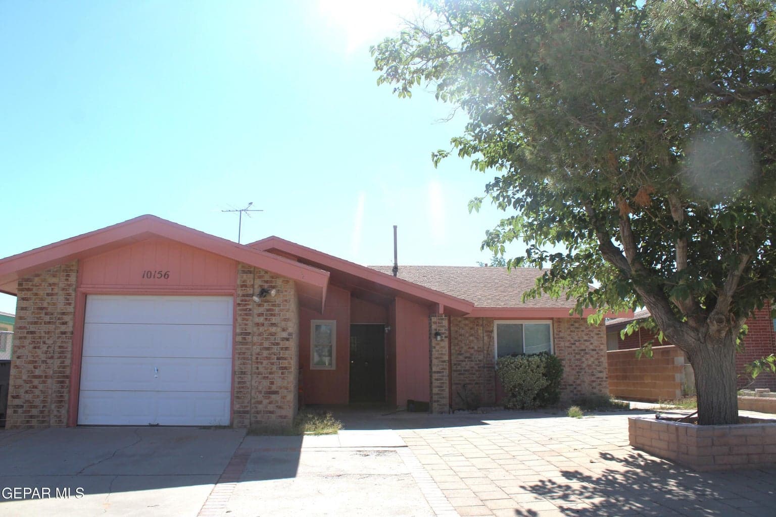 10156 RACOON Drive